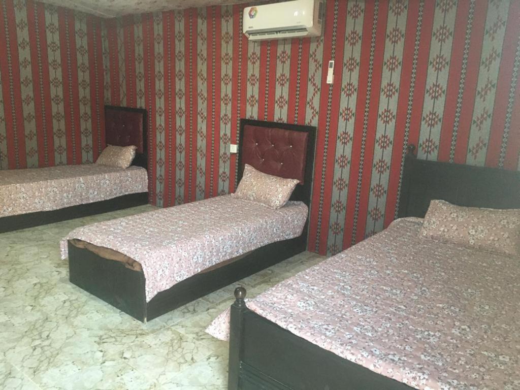 Oryx Camp Hotel Rum vádi Kültér fotó